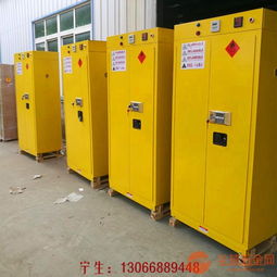理顿直供防火安全储存柜 工业安全用品柜子
